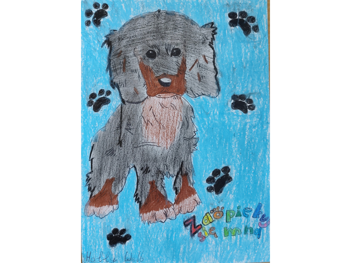 Zdjęcie prący wyróżnionej Zaopiekuj się mną