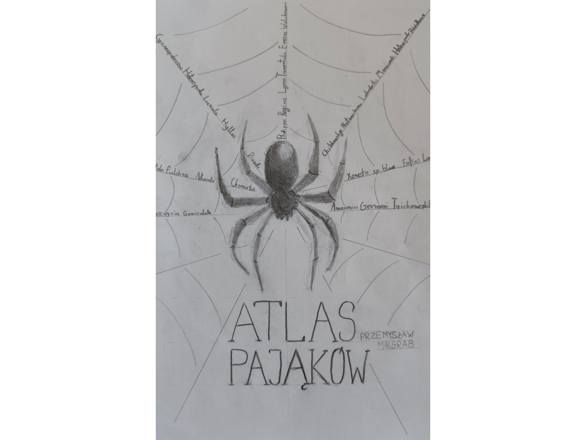 Zdjęcie prący wyróżnionej Atlas pająków